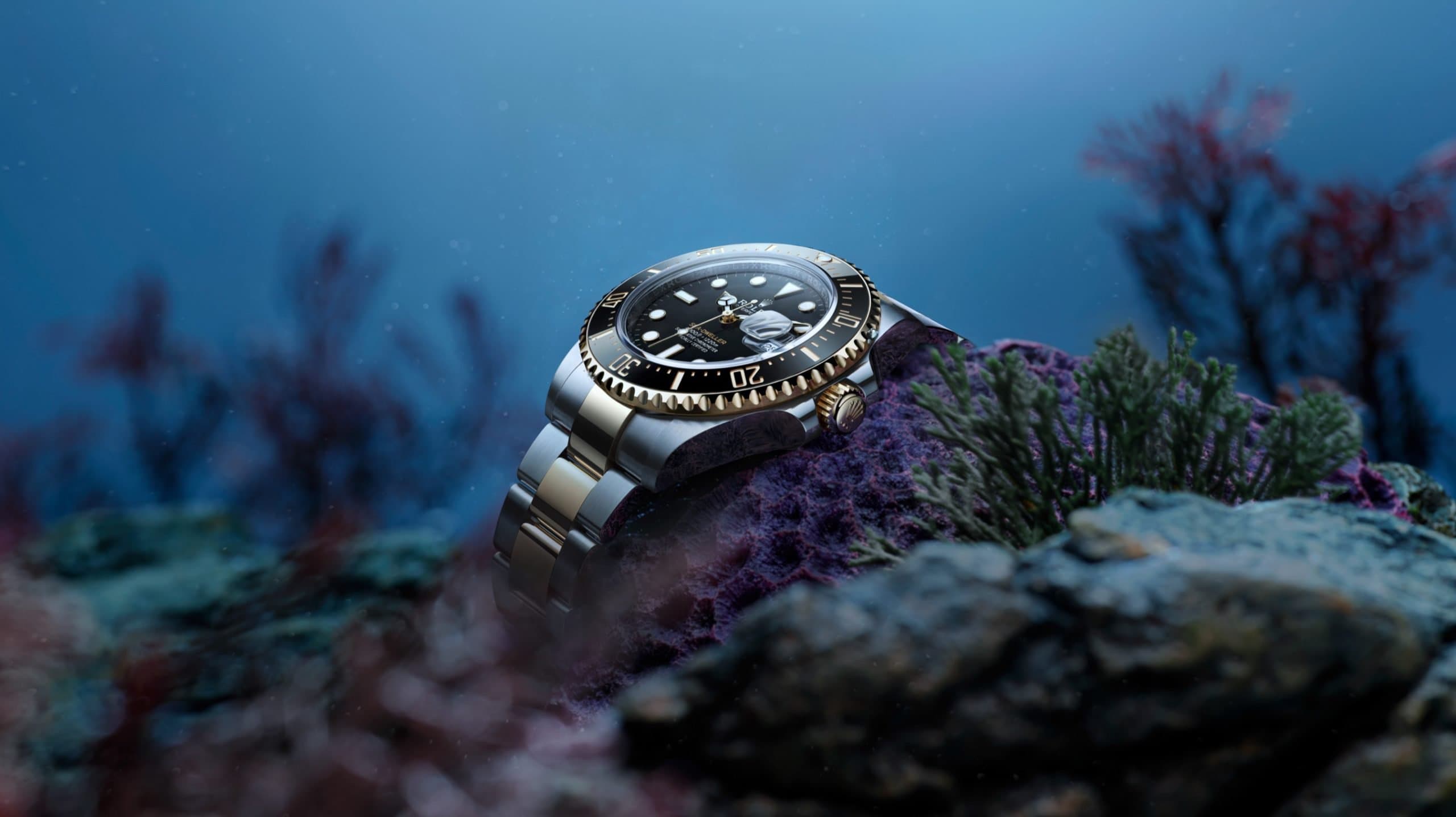 Rolex Sea-Dweller M126603-0001 - Butik Rolex Pulau Pinang
