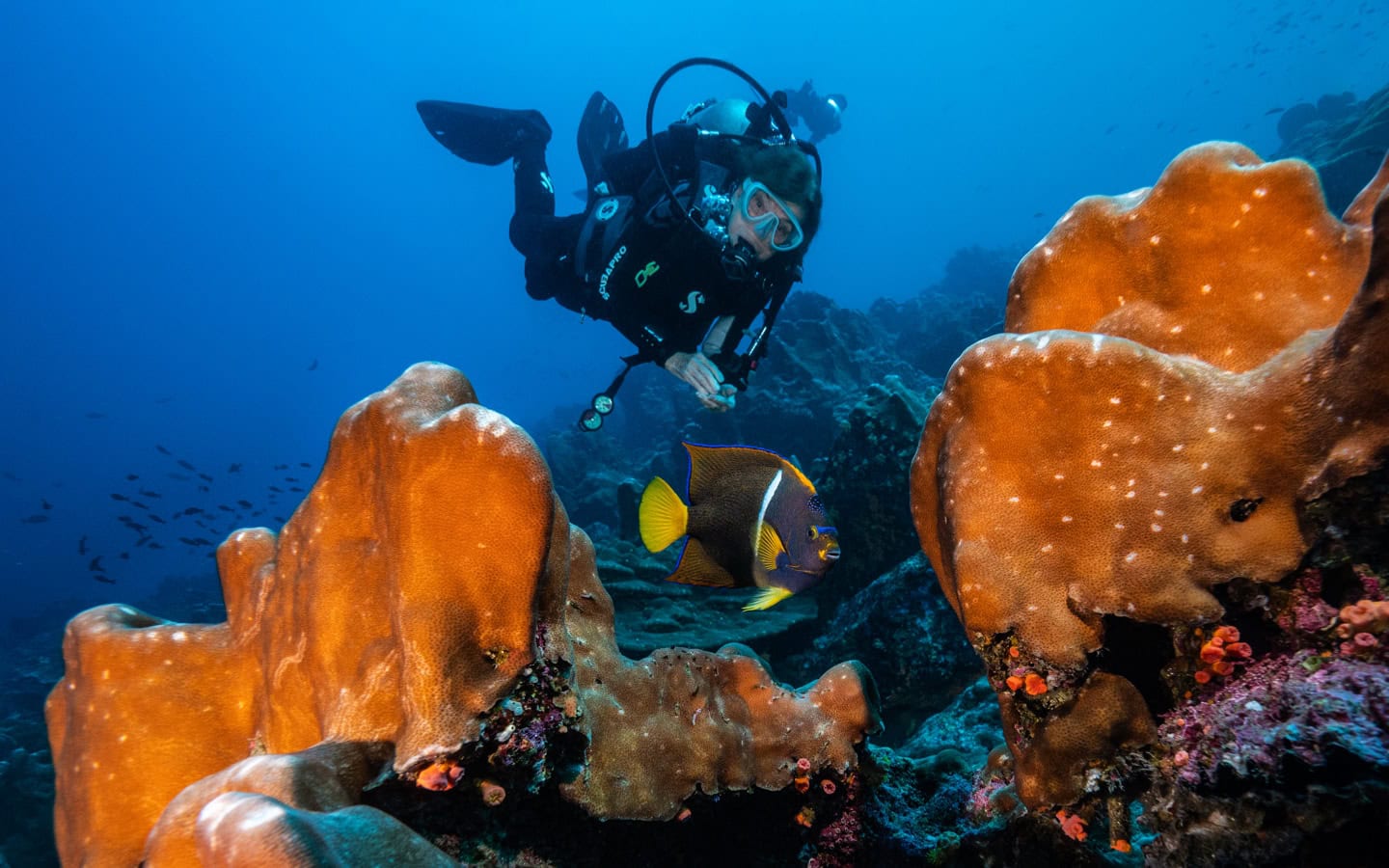 Penyelam dengan Rolex Sea-Dweller - Butik Rolex Pulau Pinang