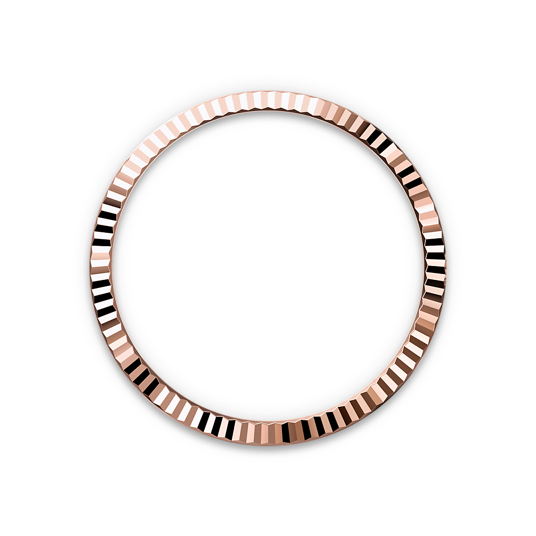 Bezel Berjejalur Rolex - Butik Rolex Pulau Pinang