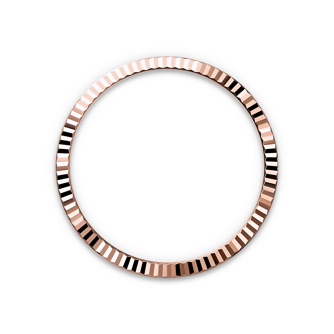 Bezel Berjejalur Rolex - Butik Rolex Pulau Pinang