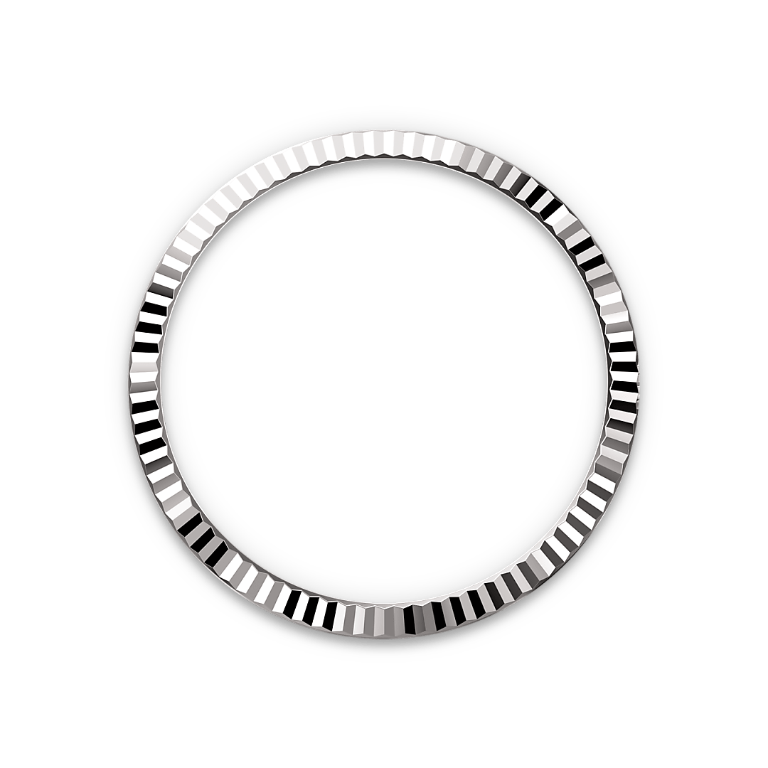 Bezel Berjejalur Rolex - Butik Rolex Pulau Pinang