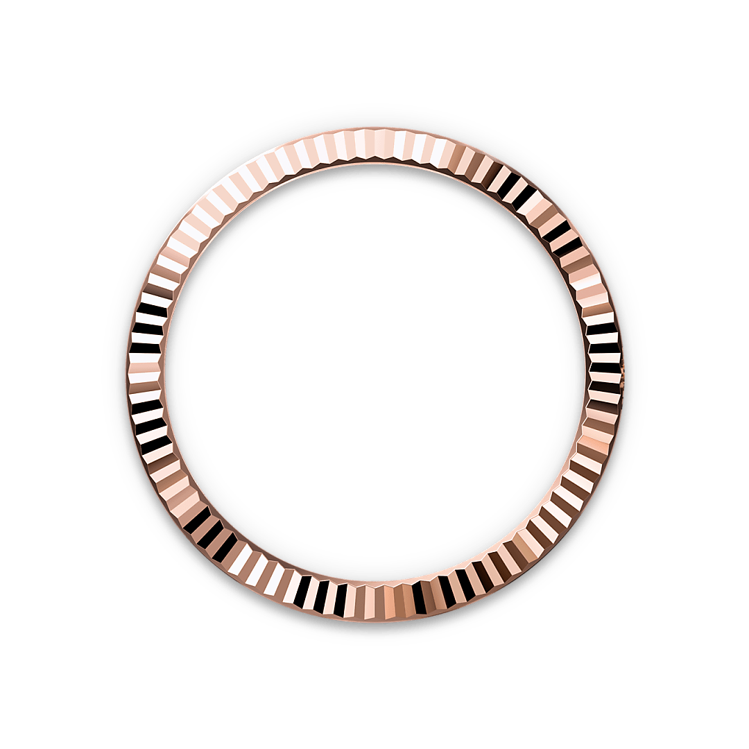Bezel Berjejalur Rolex - Butik Rolex Pulau Pinang