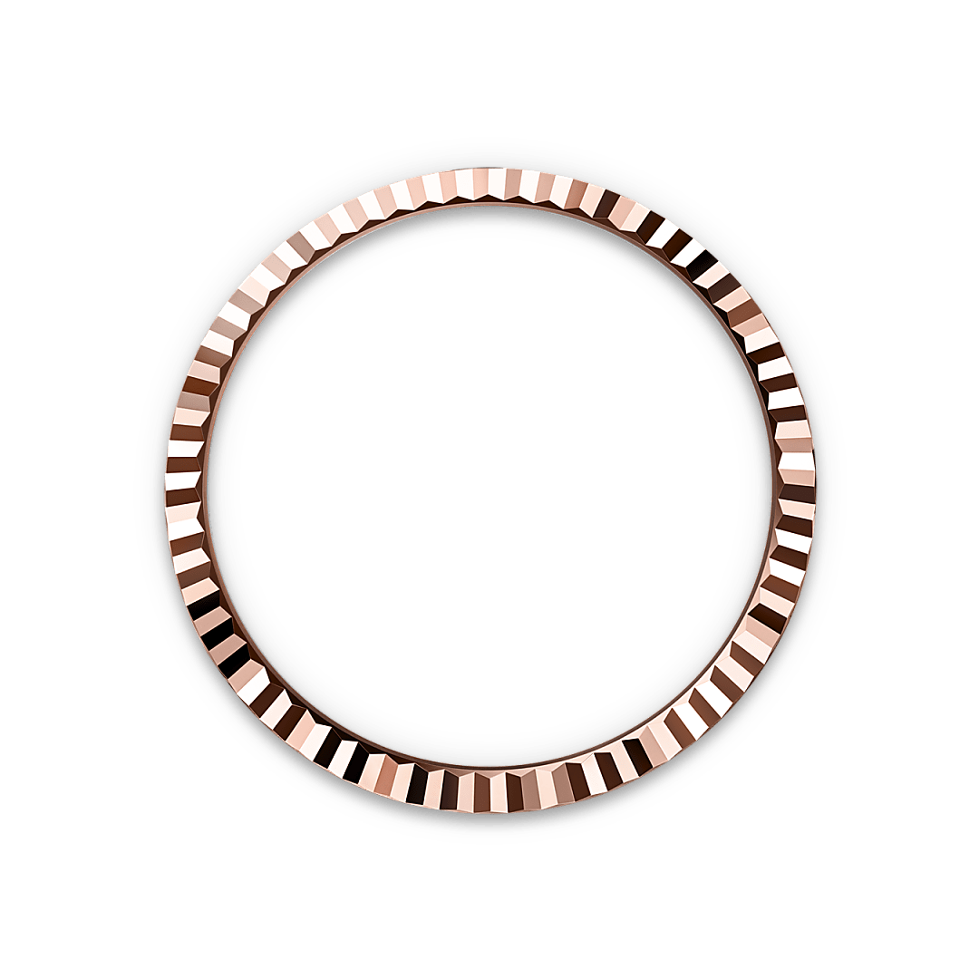 Bezel Berjejalur Rolex - Butik Rolex Pulau Pinang