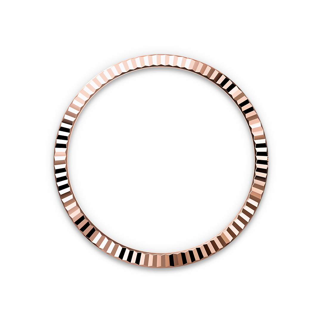 Bezel Berjejalur Rolex - Butik Rolex Pulau Pinang