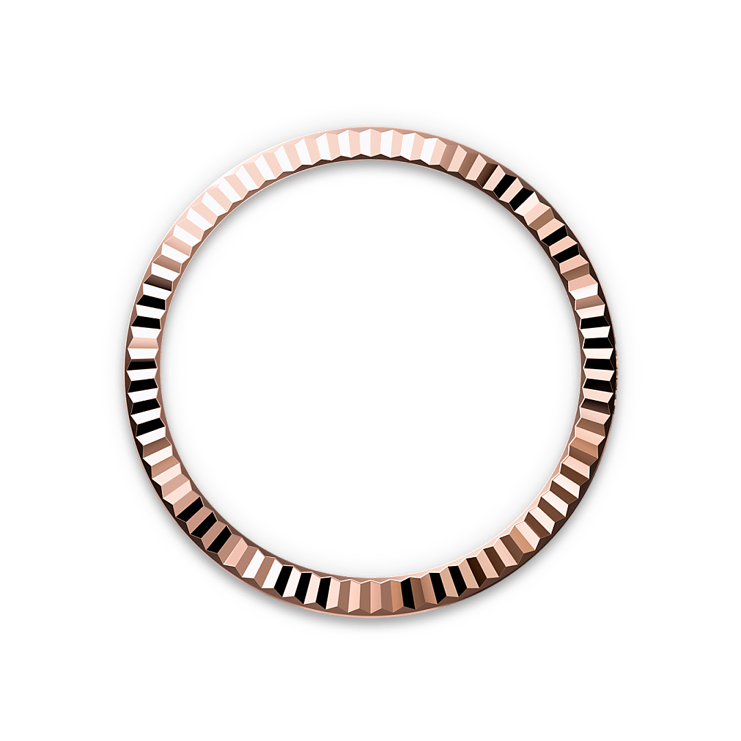 Bezel Berjejalur Rolex - Butik Rolex Pulau Pinang