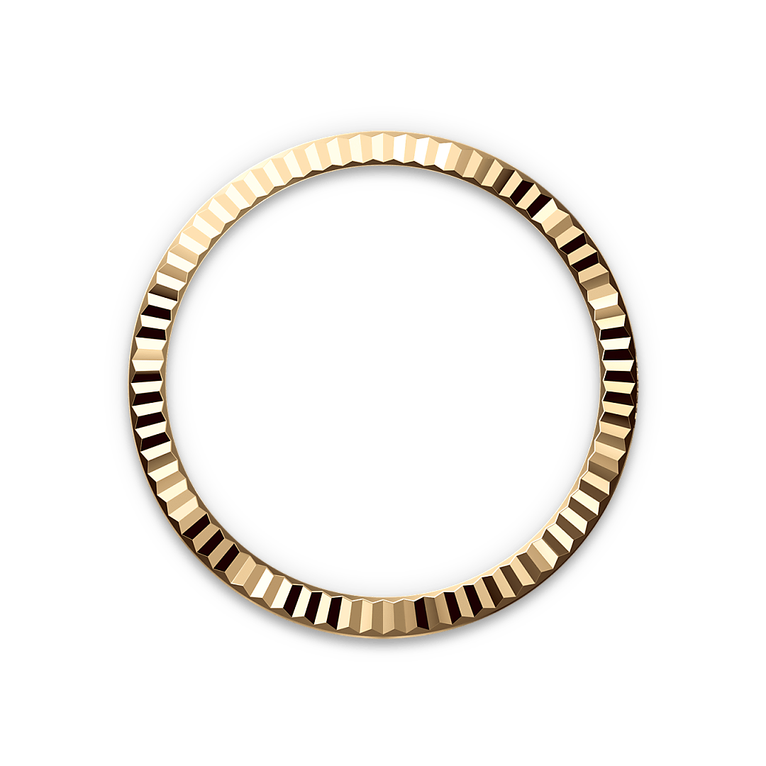 Bezel Berjejalur Rolex - Butik Rolex Pulau Pinang