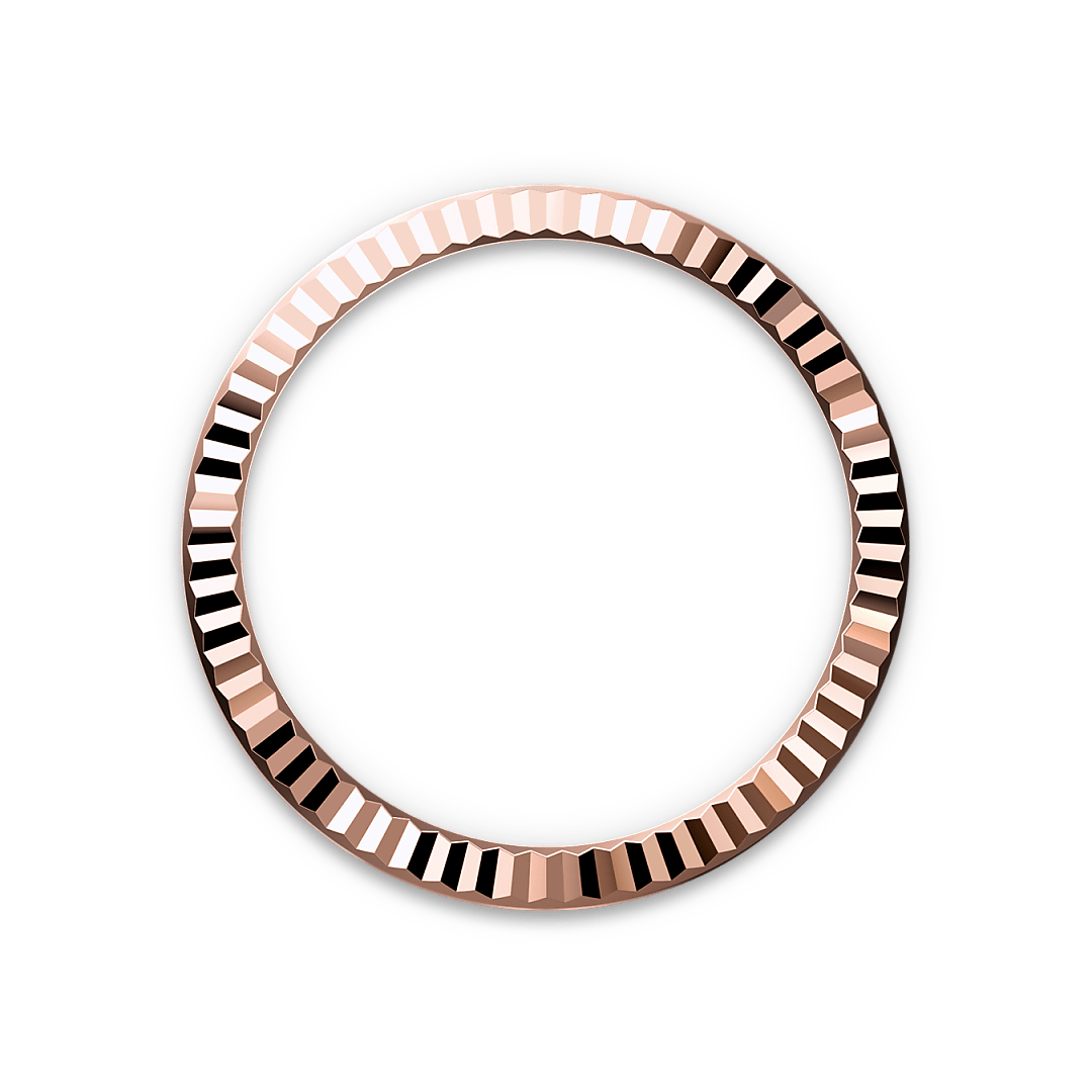 Bezel Berjejalur Rolex - Butik Rolex Pulau Pinang