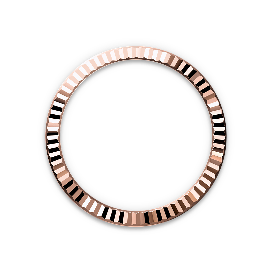 Bezel Berjejalur Rolex - Butik Rolex Pulau Pinang